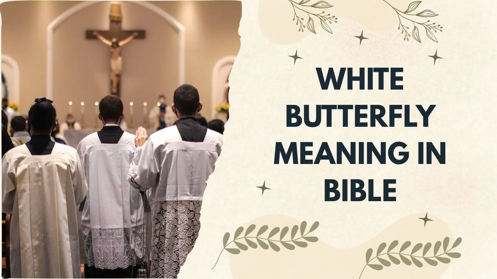 White Butterfly Meaning in Bible