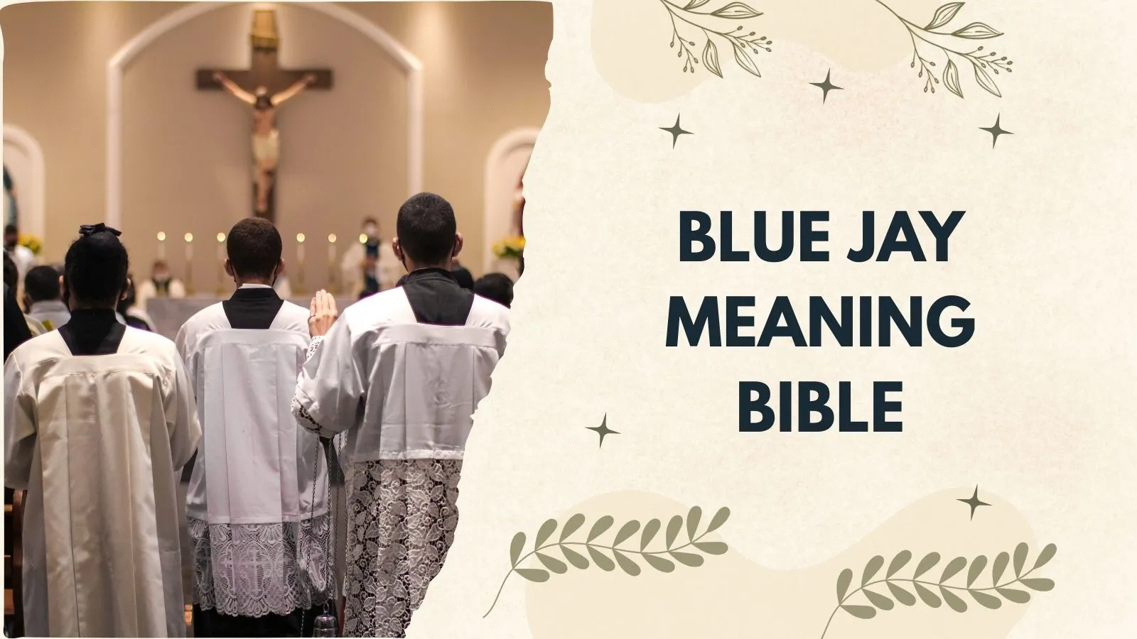 Blue Jay Meaning Bible