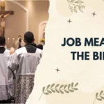 Job Mean in the Bible