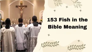 153 Fish in the Bible Meaning
