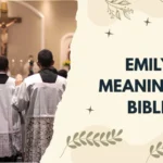 Emily Meaning in Bible