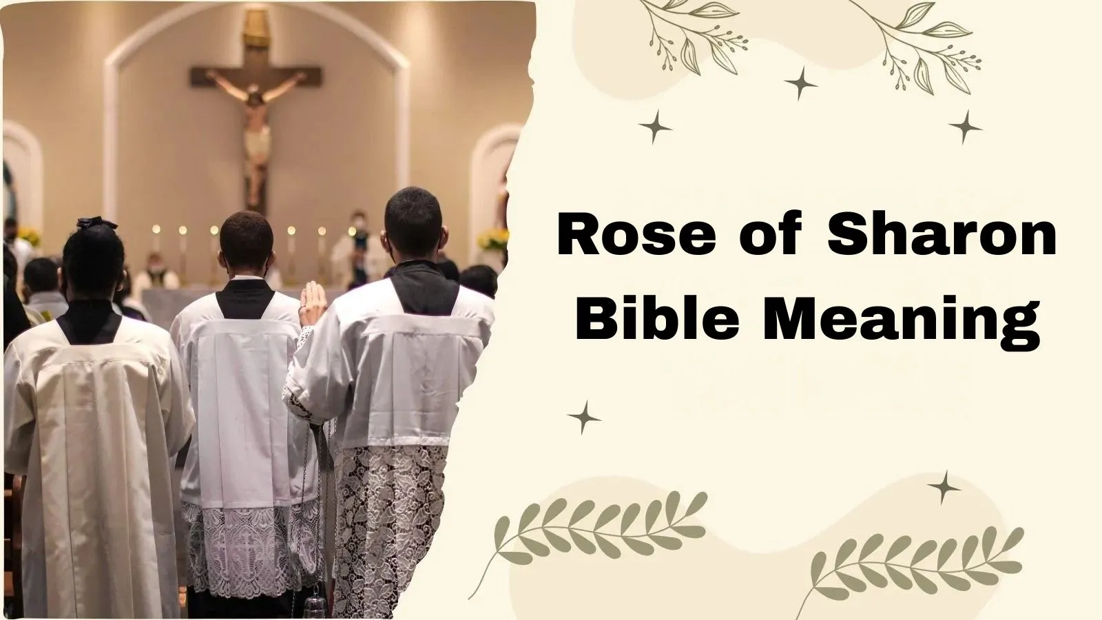 Rose of Sharon Bible Meaning