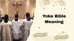 Yoke Bible Meaning