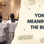 Yoke Meaning in the Bible
