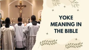 Yoke Meaning in the Bible
